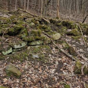 valangy-klubina_15_original