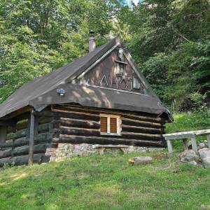 valangy-klubina_45_original