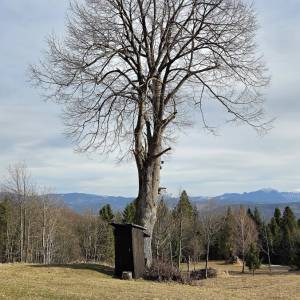 osada-nizne-blato-stara-bystrica_6_original