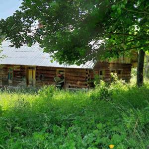 zadna-satina-vysoka-nad-kysucou_2_original