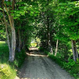 stredni-kubusovci-oscadnica_5_original