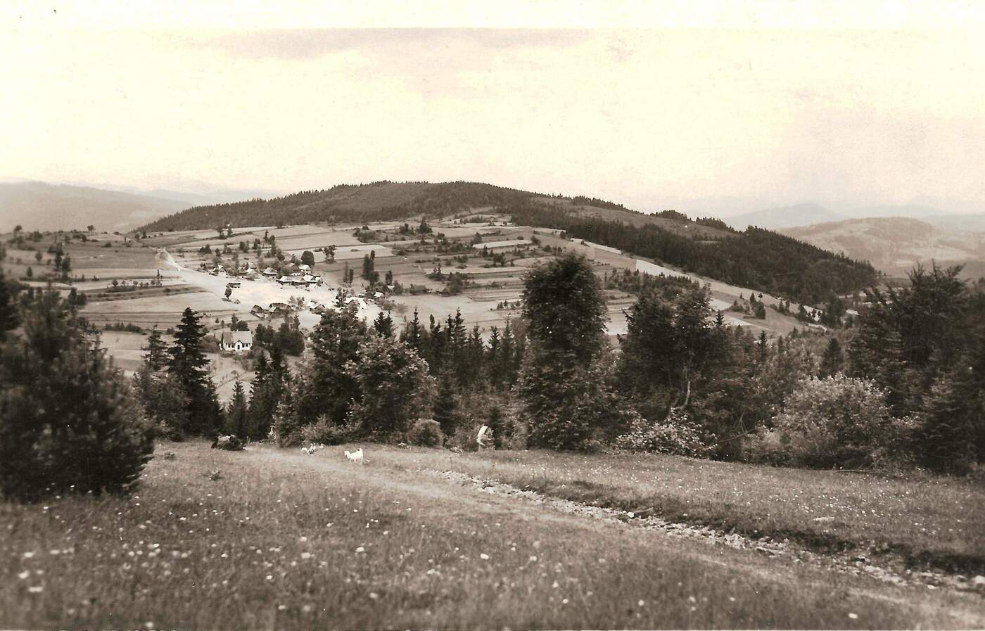vrchrieka pohlad z lubov 1933 vysoka nad kysucou