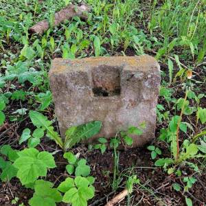 stary-cintorin-rudina_9_original