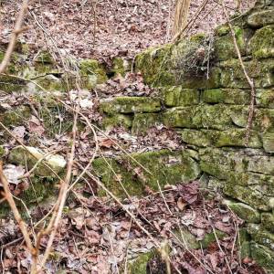 stary-majer-radola_3_original