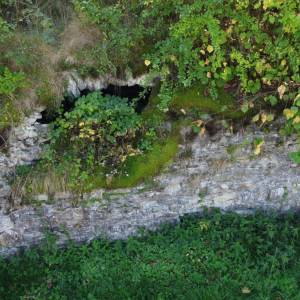 stary-majer-radola_5_original