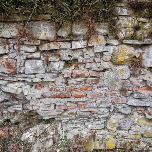 stary-majer-radola_5_original