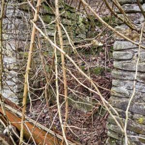 stary-majer-radola_6_original