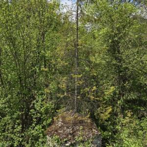 cestne-uzavery-protitankove-zatarasy-oscadnica-18_4_original