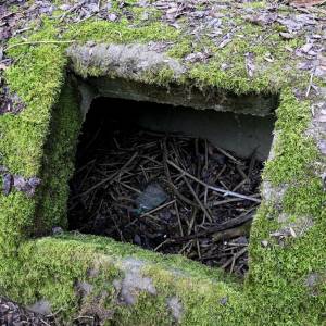 kochbunker-staskov_11_original