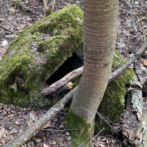 kochbunker-staskov_2_original