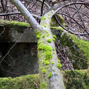 kochbunker-staskov_6_original