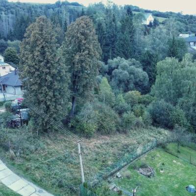 zabudnuty-cintorin-hladoveho-moru-nad-cadcou_8_original