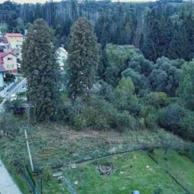 zabudnuty-cintorin-hladoveho-moru-nad-cadcou_9_original