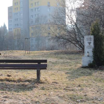 zidovsky-cintorin-cadca_4_original
