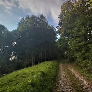 zidovsky-cintorin-stara-bystrica_4_original