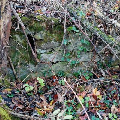 zidovsky-cintorin-turzovka-1_27_original