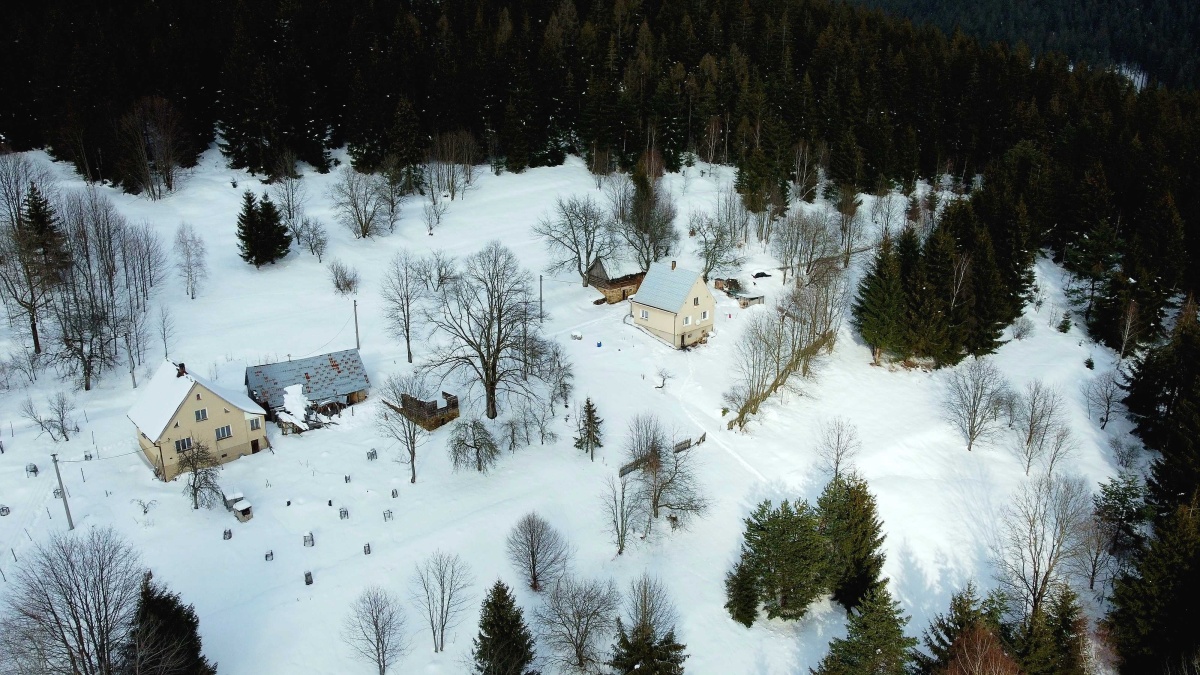 cervencovci olesna 7