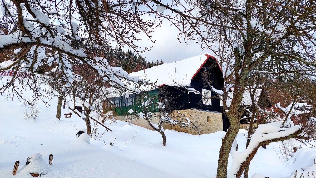 culakovci neslusa 7