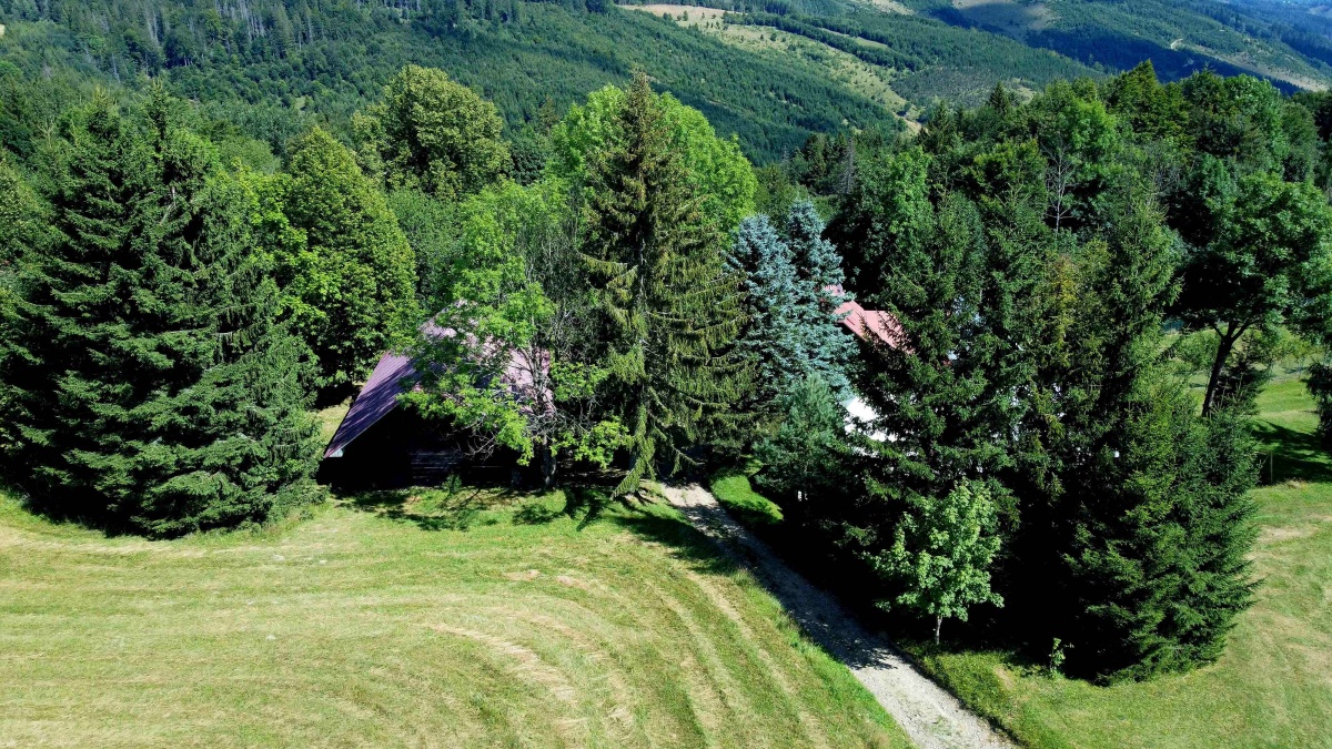 jurdovci neslusa 3