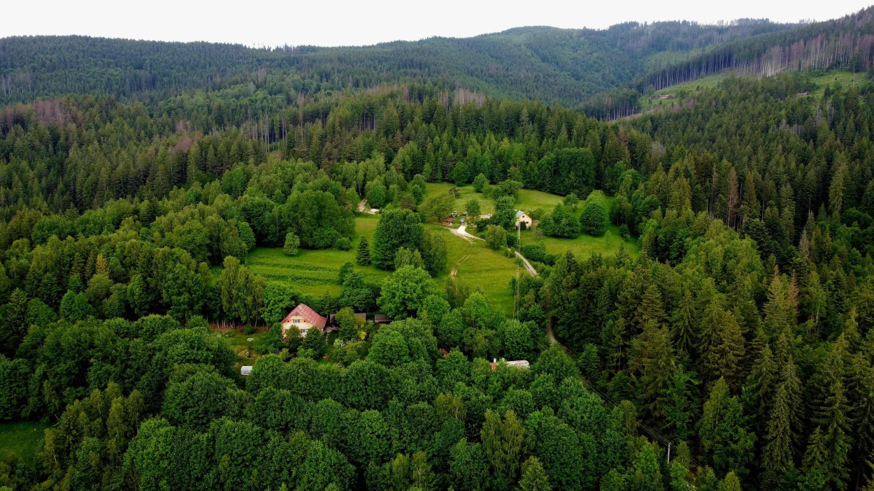 kubrikova rakova 3