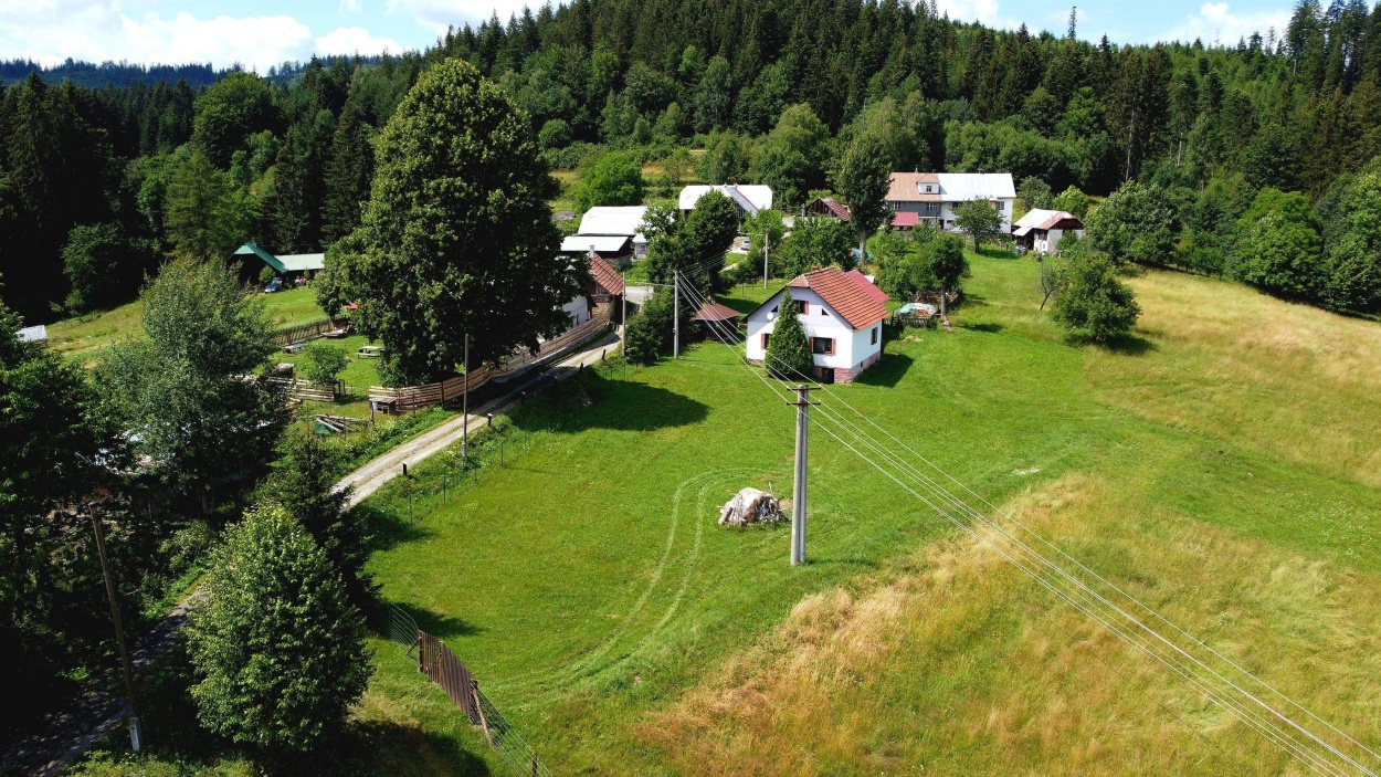 kuchriska rakova 7