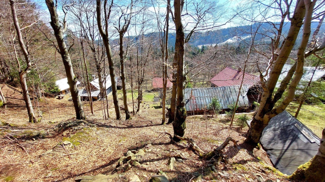 lovasovci makov 8