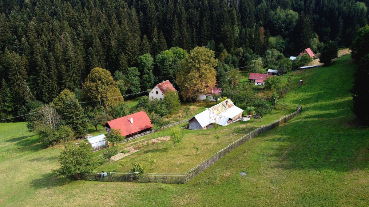 muchovci korna 19