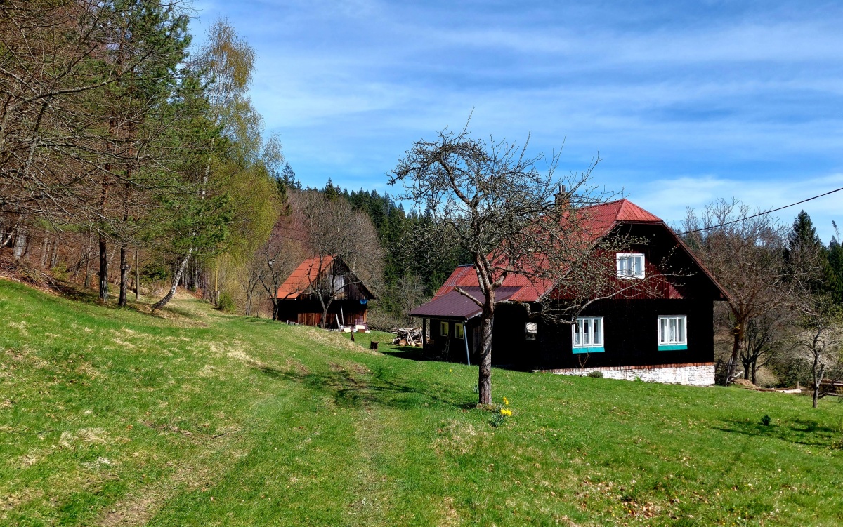 pisarovia makov 4