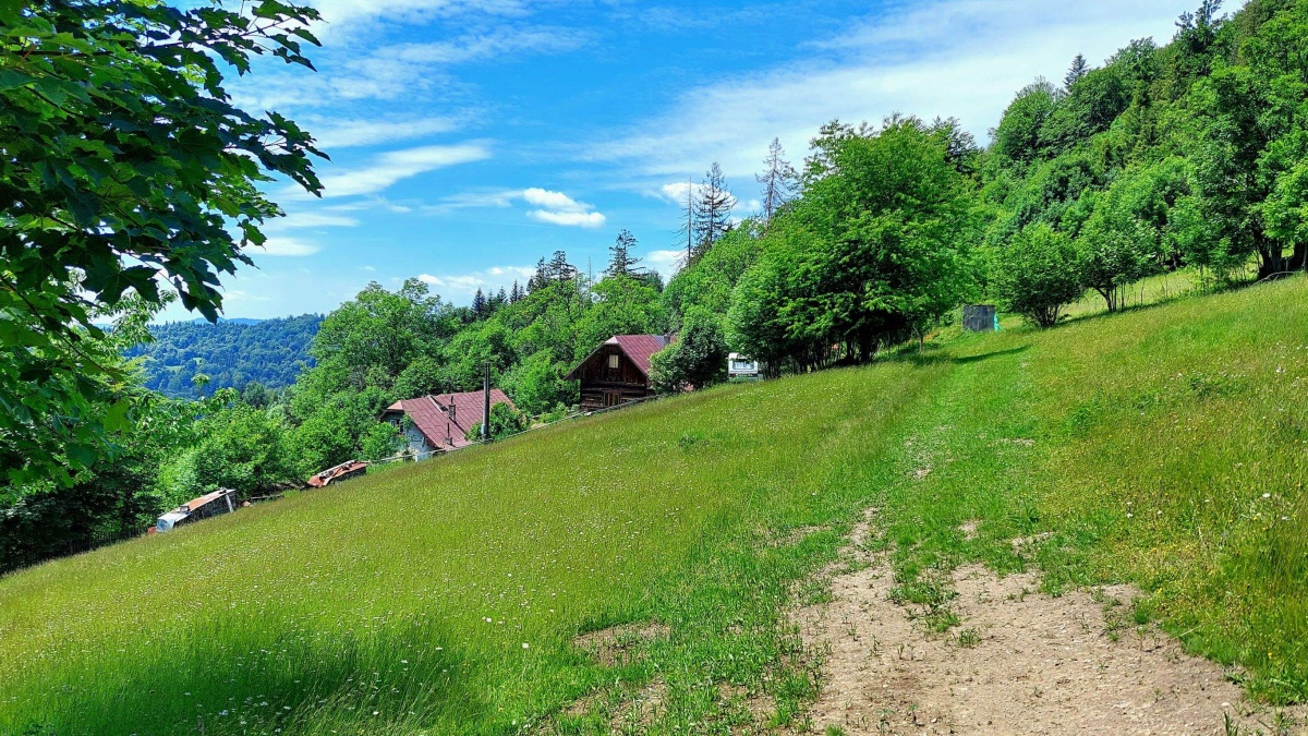 prislop oscadnica 1