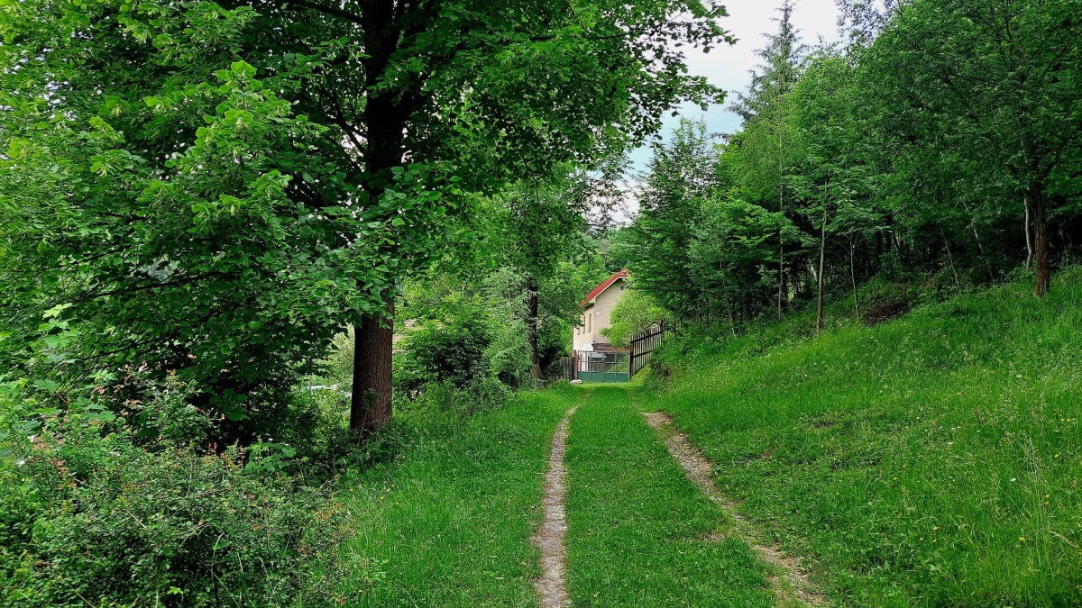 prpovci dunajov 7