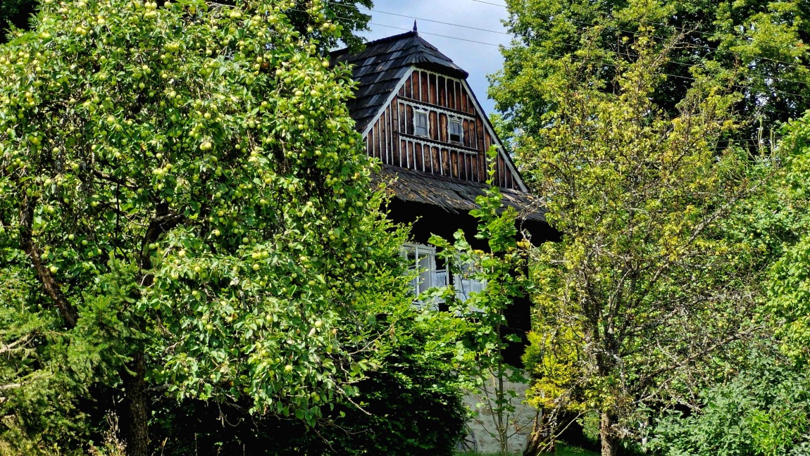 skornov grun korna 14