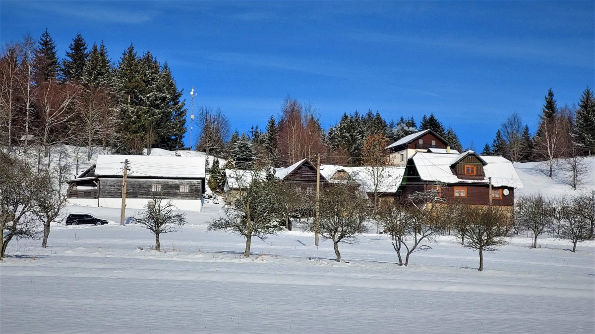 slahorka korna 4