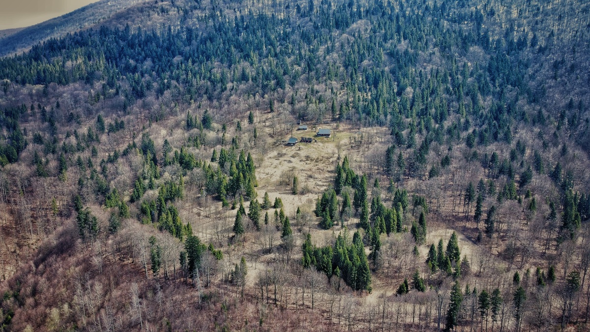 DCIM\100MEDIA\DJI_0972.JPG