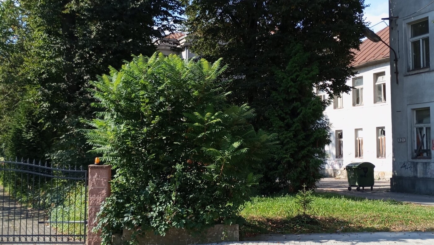 prechadzky stratenou cadcou lukasa kubiatka strnasty diel 2