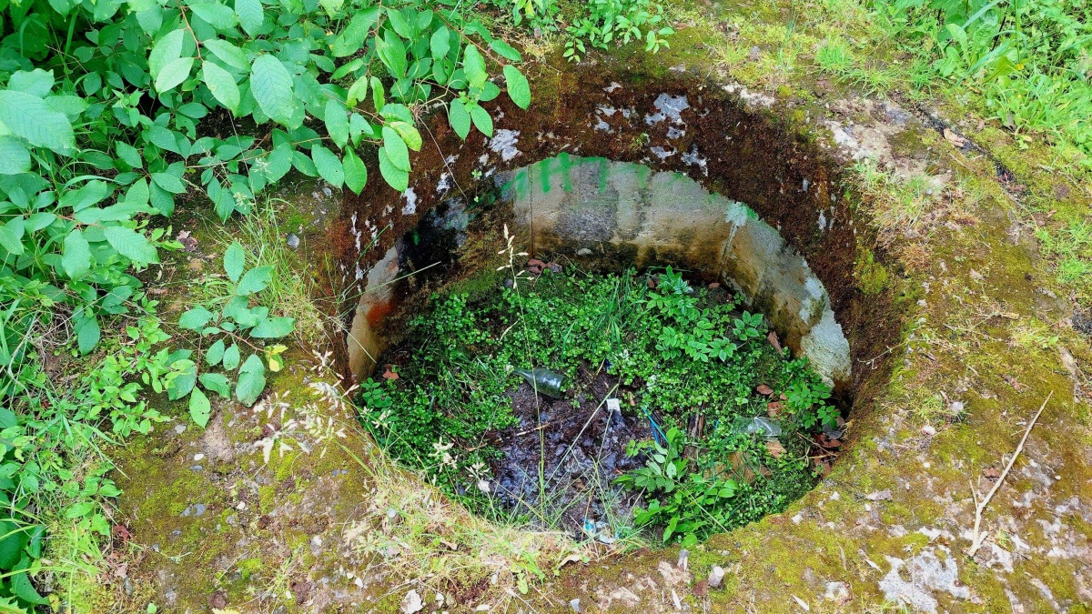 bauform staskov 1