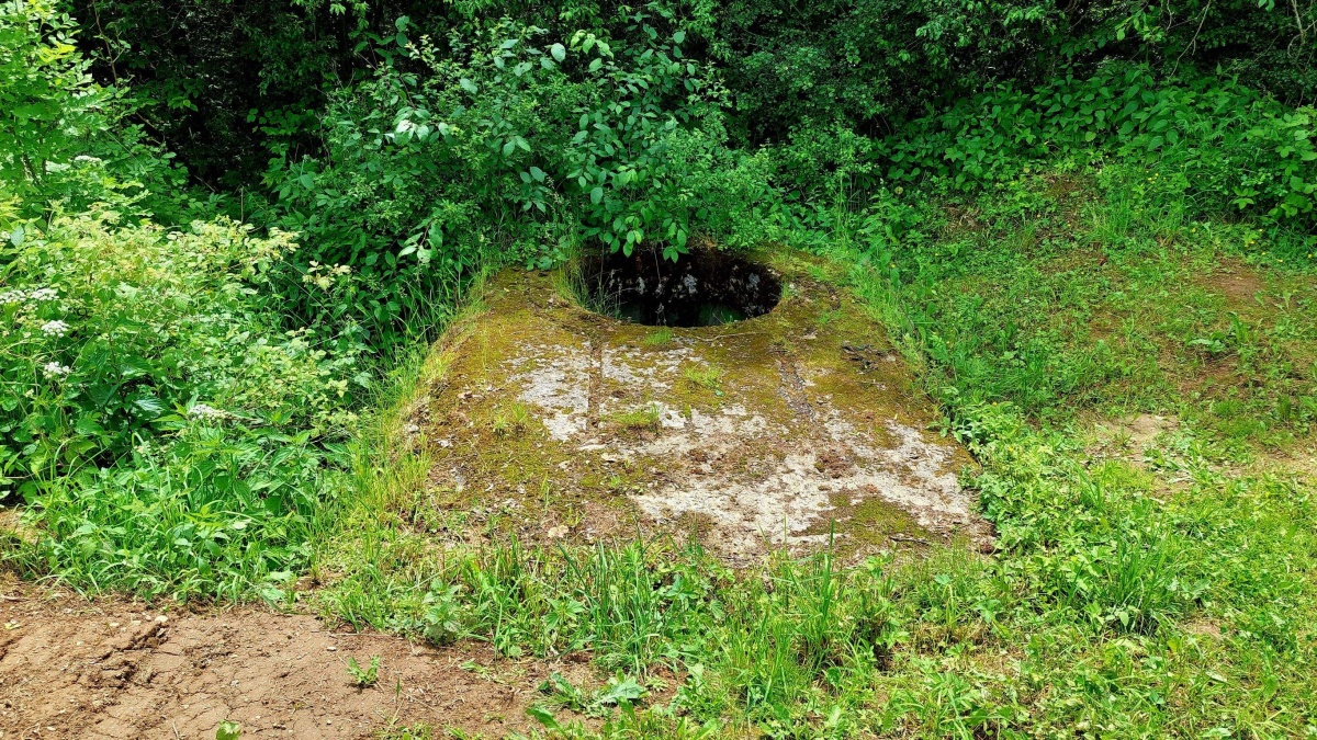 bauform staskov 2