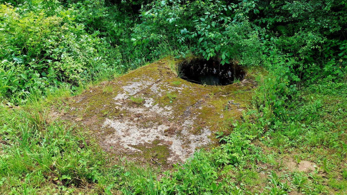 bauform staskov 3